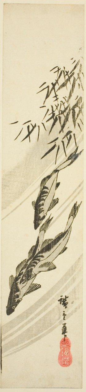 溪流中的鱼 作者 歌川宏重