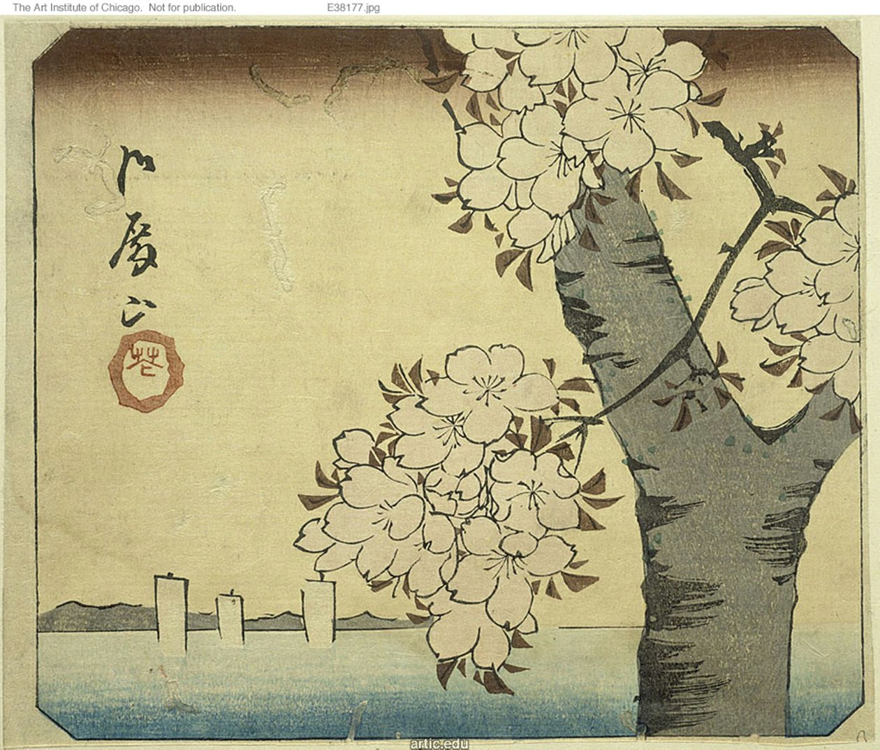 御殿山的花，"江户名胜剪影（Harimaze Koto meisho）"系列纸张的一部分 作者 歌川宏重