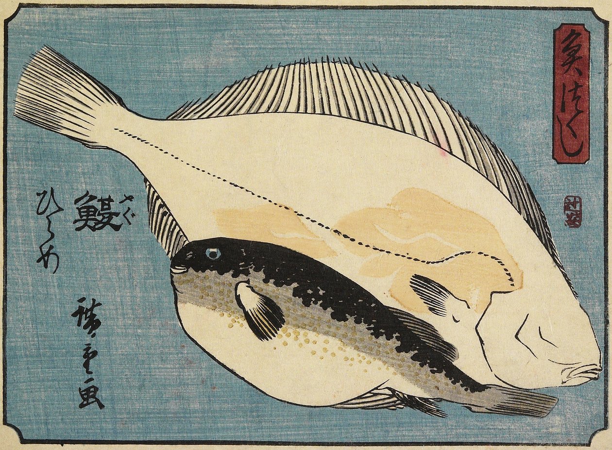 河豚和比目鱼，1830-1844 作者 歌川宏重