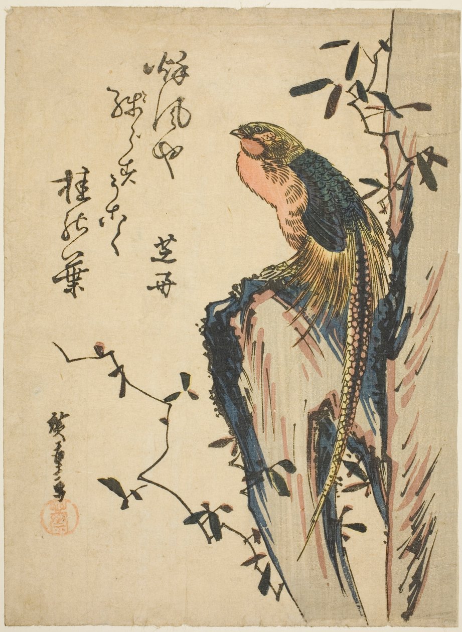 金雉 作者 歌川宏重