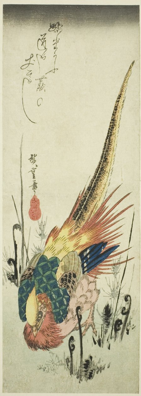 金鸡和蕨类植物 作者 歌川宏重