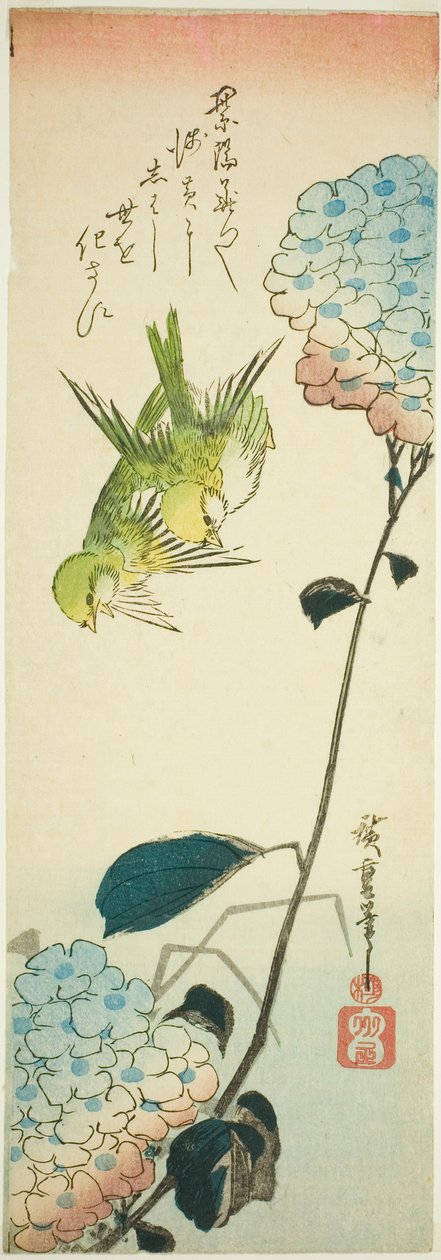 绿鸟和绣球花 作者 歌川宏重