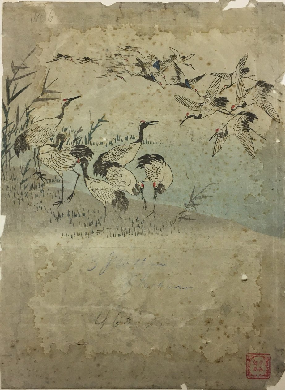 草丛中的苍鹭 作者 歌川宏重