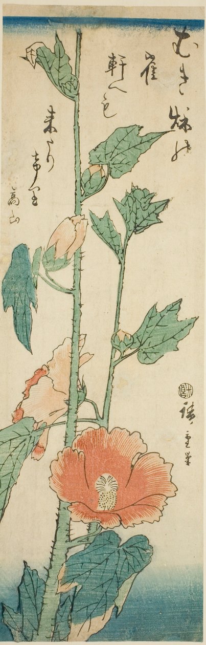 木槿花 作者 歌川宏重