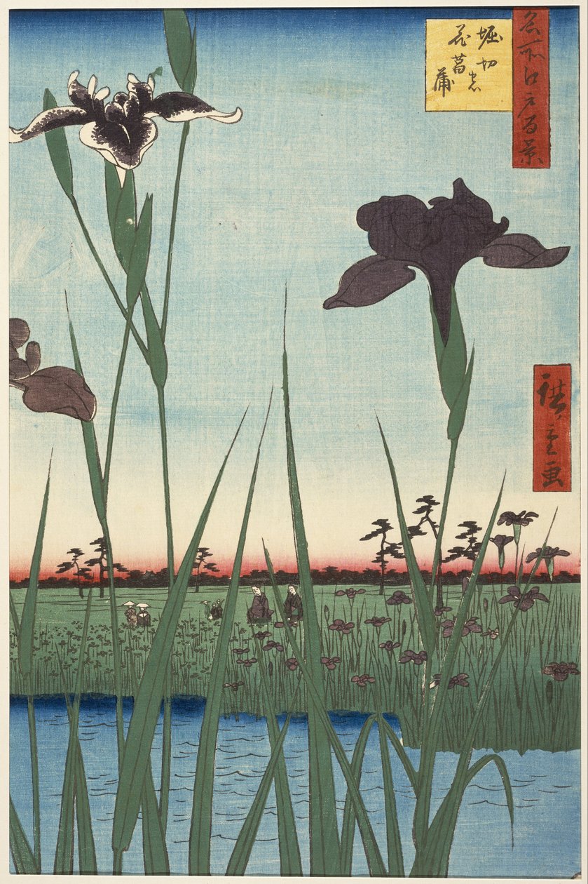 出自《江户百种名景》系列的Horikiri鸢尾花园（Horikiri nohanashōbu） 作者 歌川宏重