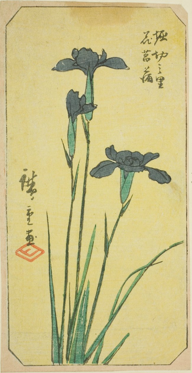 堀切村的鸢尾花，"江户名胜剪影 "系列中的一张纸的一部分 作者 歌川宏重