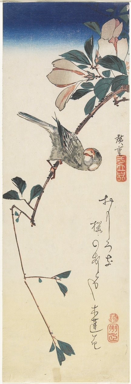 Java Sparrow和Magnolia，1834-1839 作者 歌川宏重