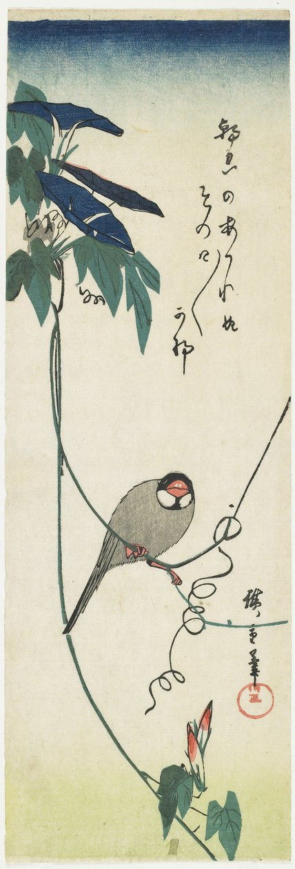 Java Sparrow和Morning Glories，1834-1839 作者 歌川宏重