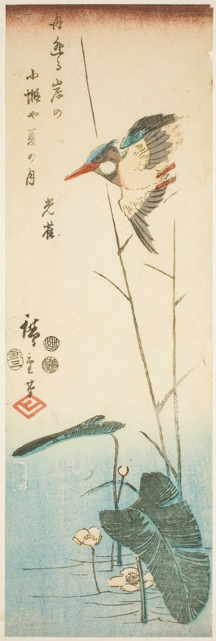 黄花水草上的翠鸟 作者 歌川宏重
