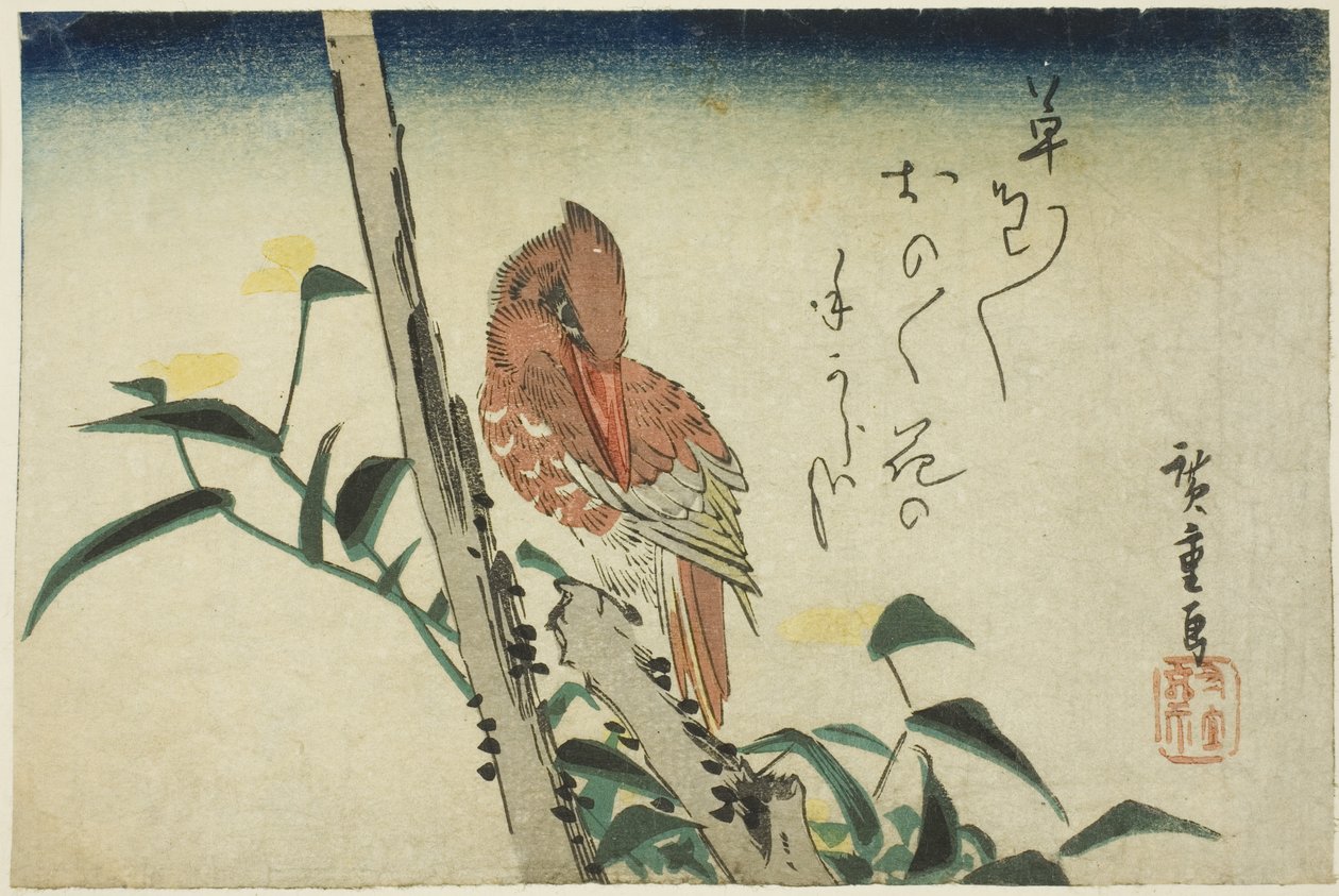 翠鸟和萱草 作者 歌川宏重