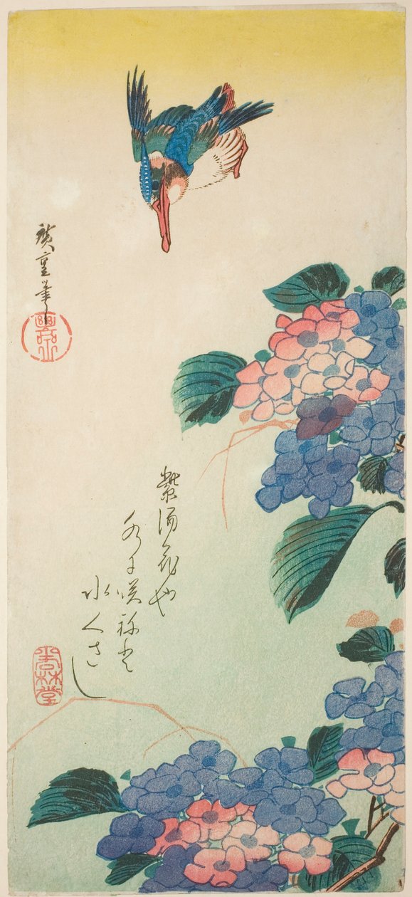 翠鸟和绣球花 作者 歌川宏重