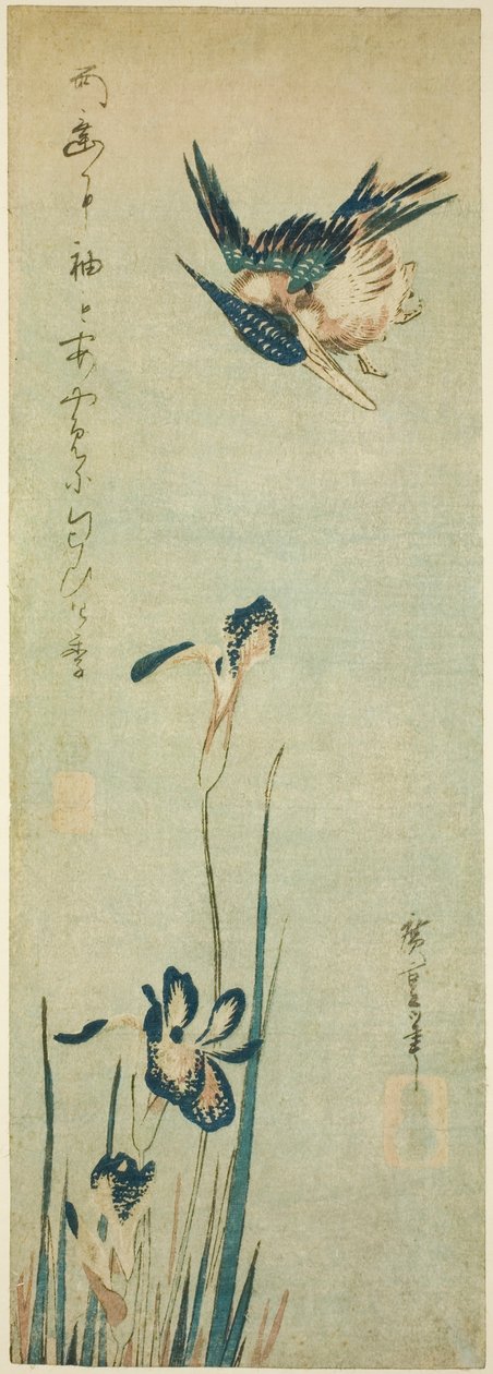 翠鸟和鸢尾花 作者 歌川宏重