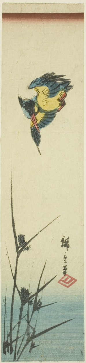 翠鸟和芦苇 作者 歌川宏重