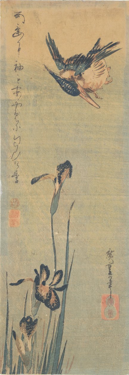 翠鸟飞过鸢尾花 作者 歌川宏重