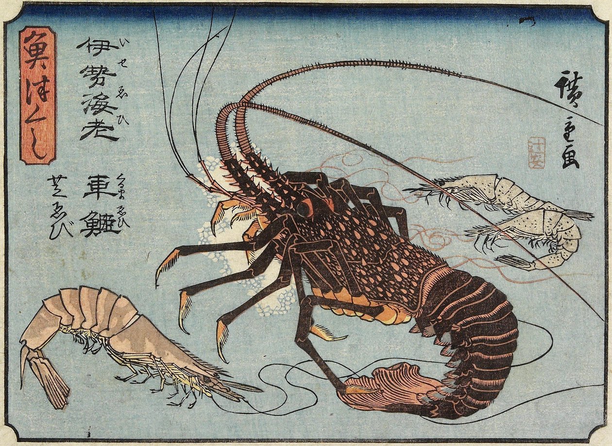 龙虾，虾和虾，1830-1844 作者 歌川宏重