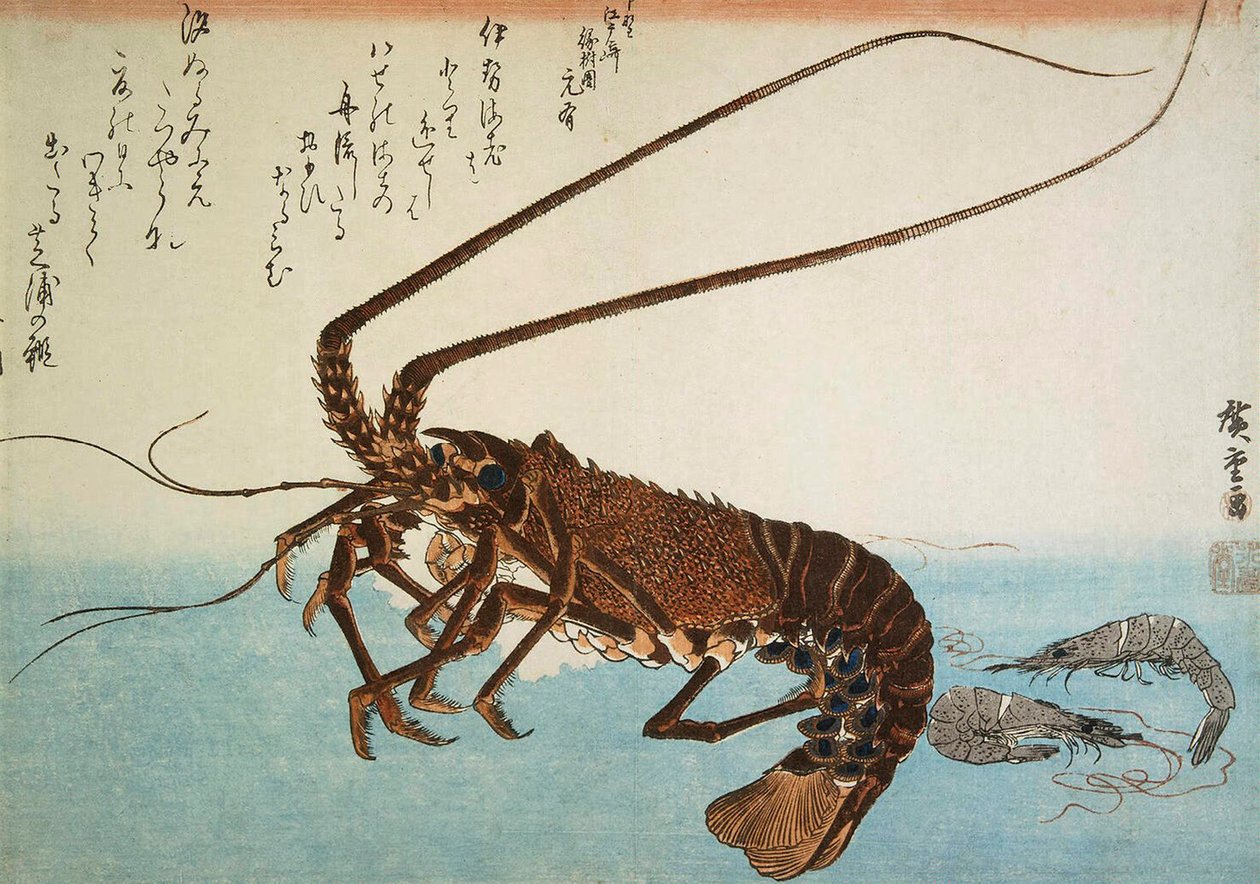龙虾和虾米，1832-1834。   作者 歌川宏重