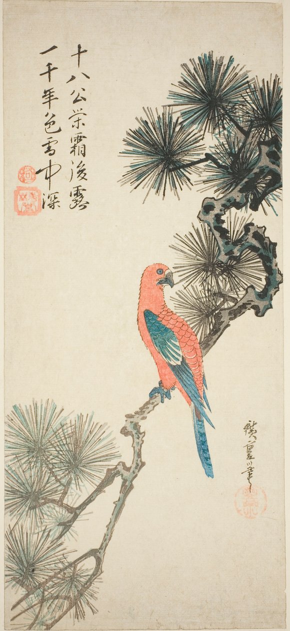 松枝上的金刚鹦鹉 作者 歌川宏重