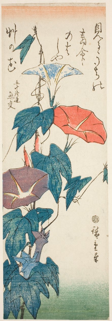 牵牛花 作者 歌川宏重