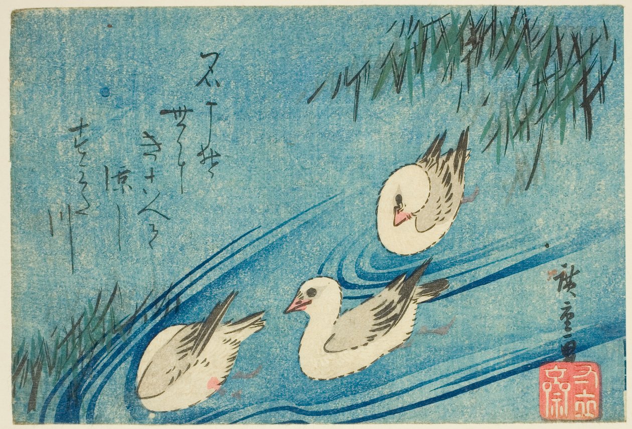 蛎鹬 作者 歌川宏重