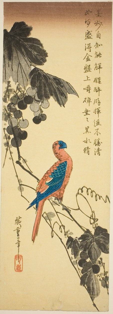 葡萄藤上的鹦鹉 作者 歌川宏重