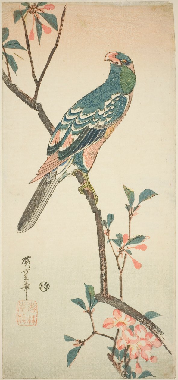 花枝上的鹦鹉 作者 歌川宏重