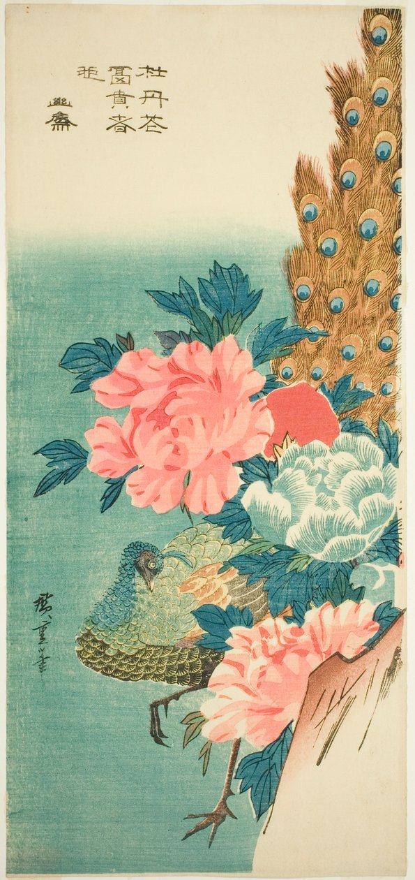 孔雀和牡丹 作者 歌川宏重