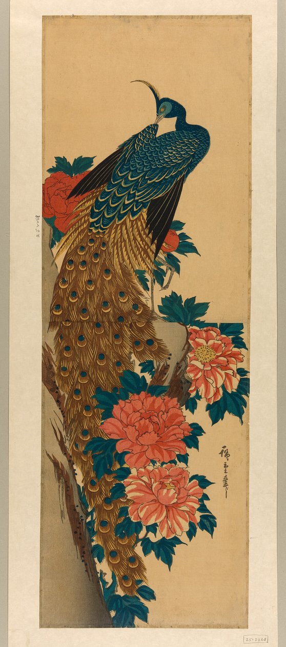 孔雀和牡丹 作者 歌川宏重