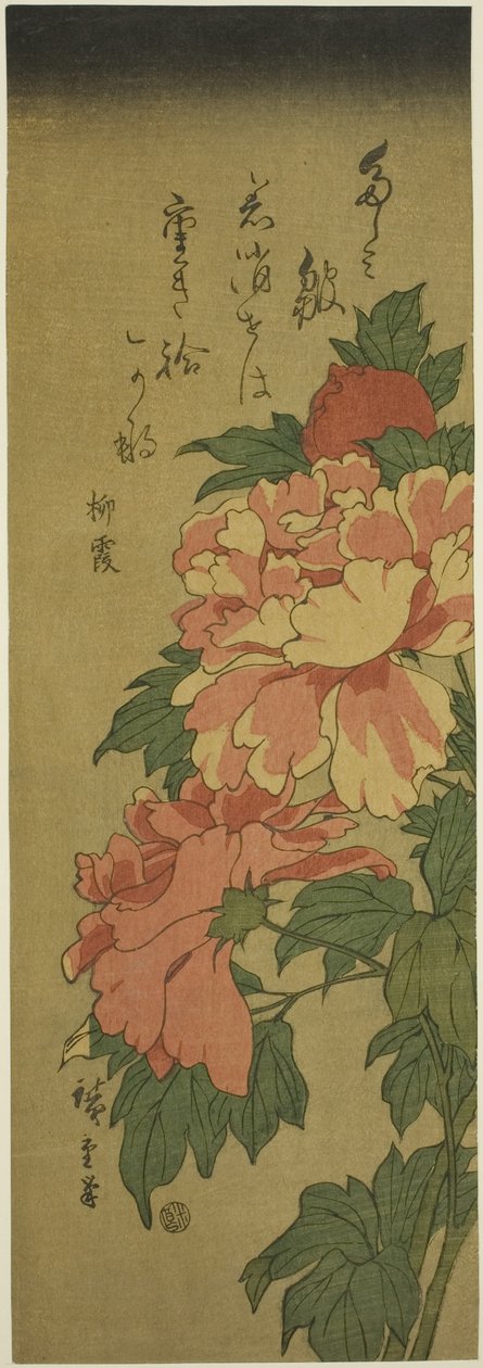 牡丹 作者 歌川宏重