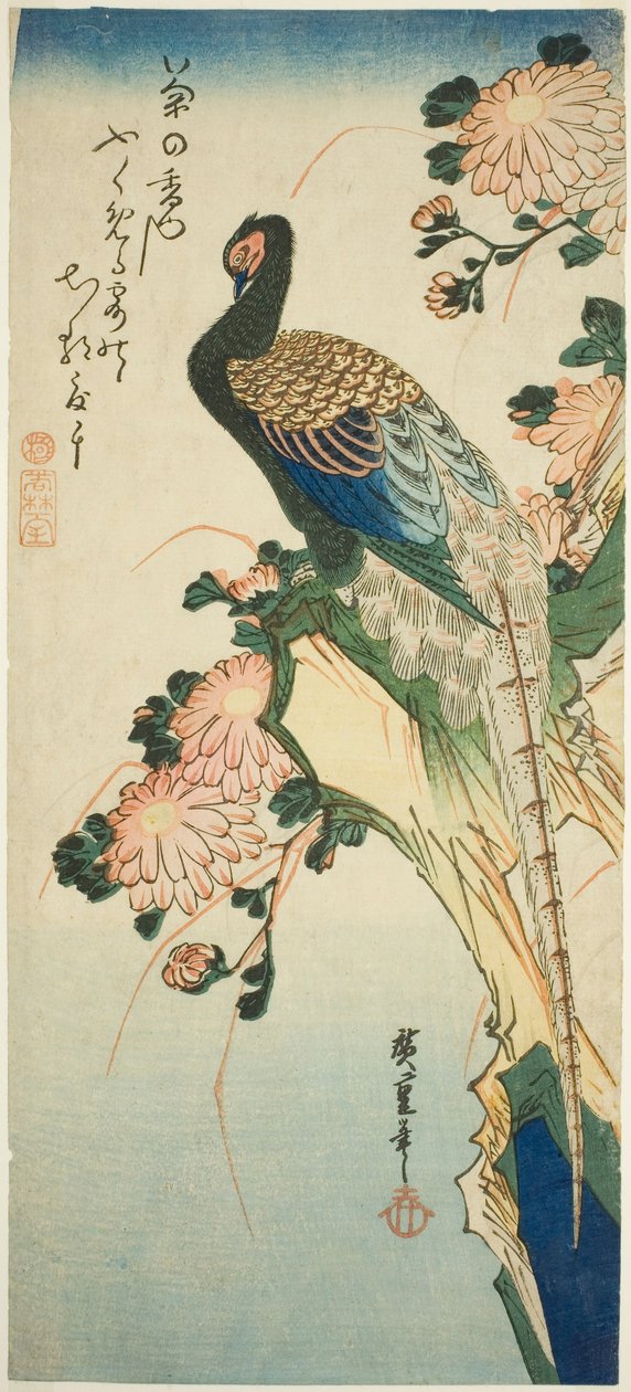 野鸡和菊花 作者 歌川宏重