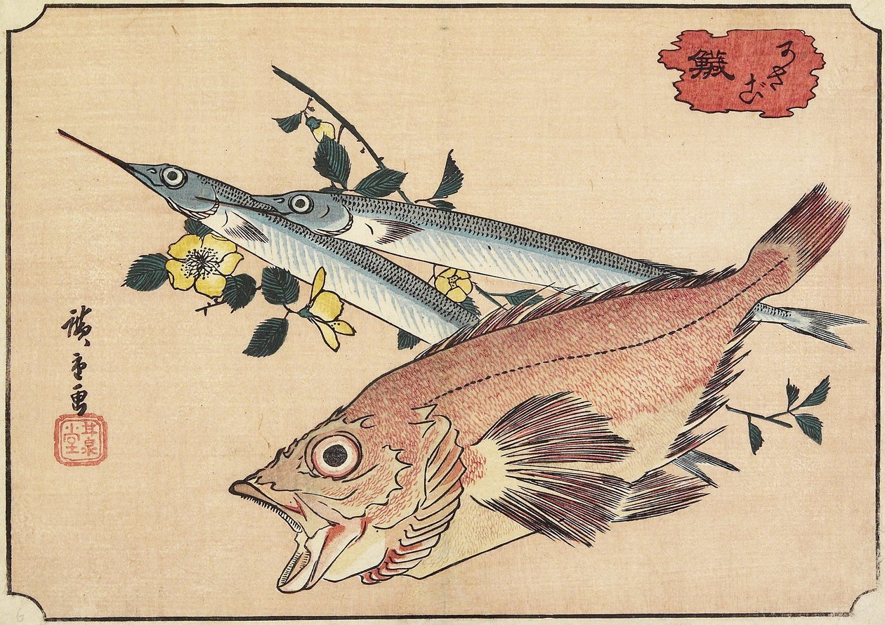 Rockfish和Halfbeak，19世纪初 作者 歌川宏重