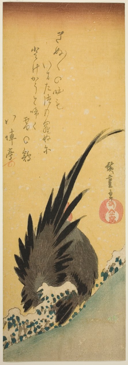 冬天山坡上的公鸡 作者 歌川宏重