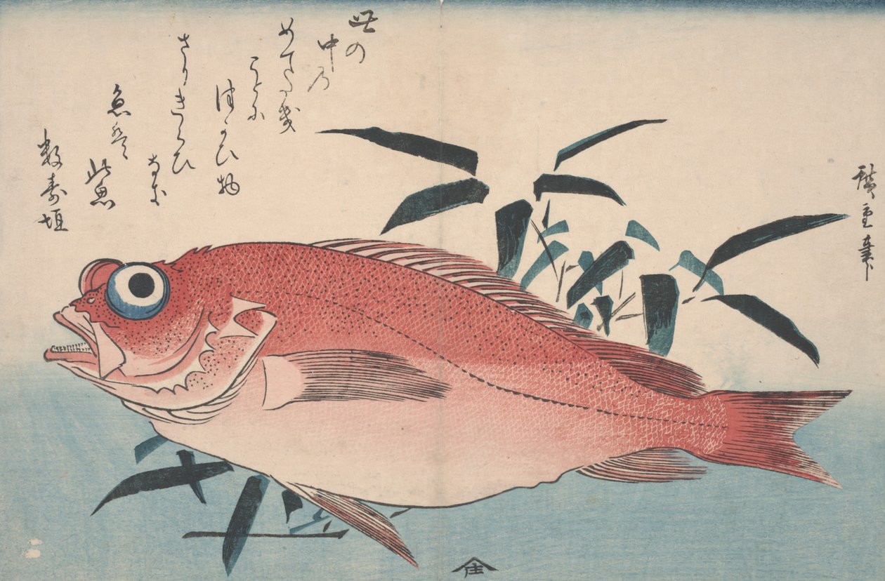 鲷鱼和竹草，1840年 作者 歌川宏重
