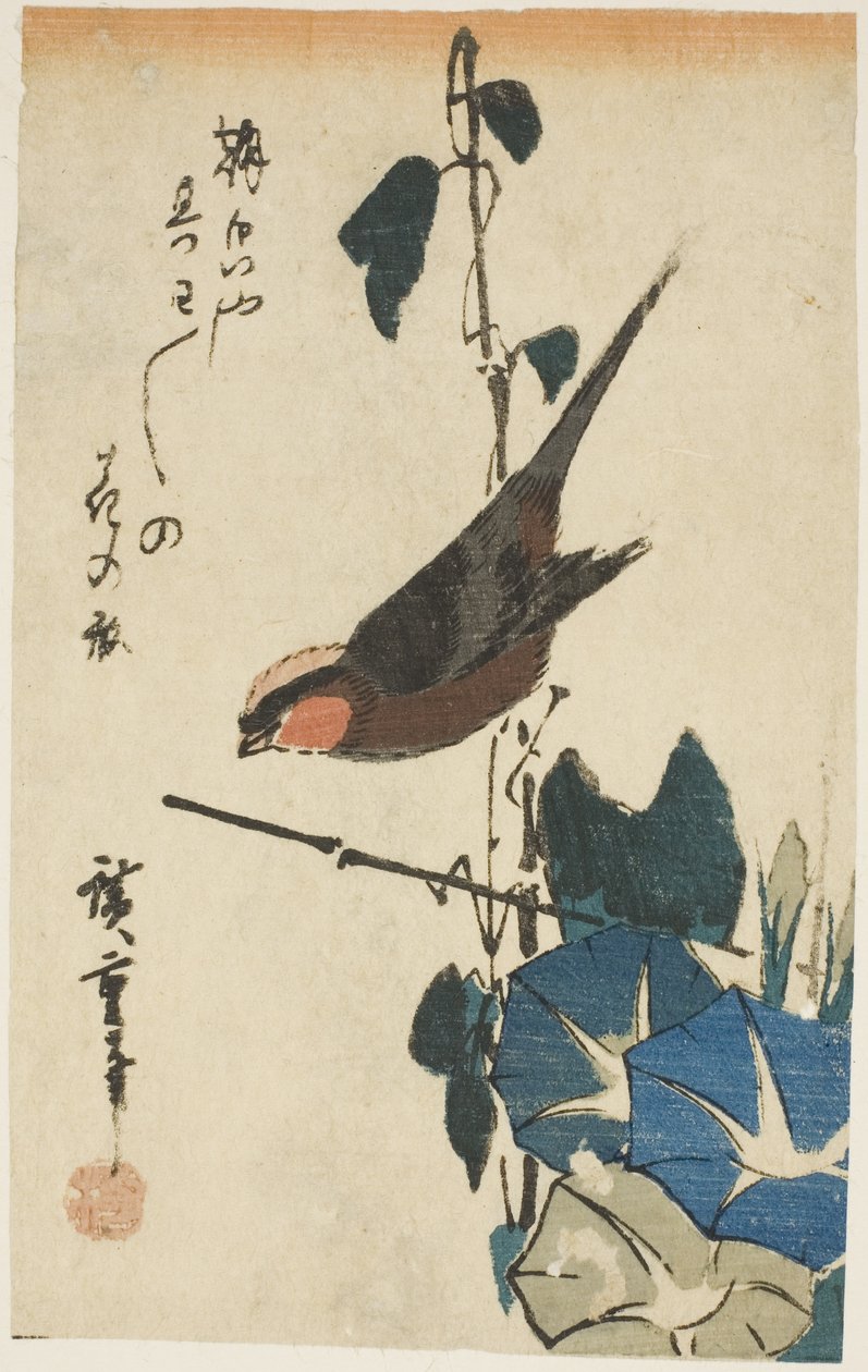 麻雀和牵牛花 作者 歌川宏重