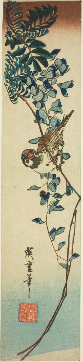 麻雀和紫藤 作者 歌川宏重