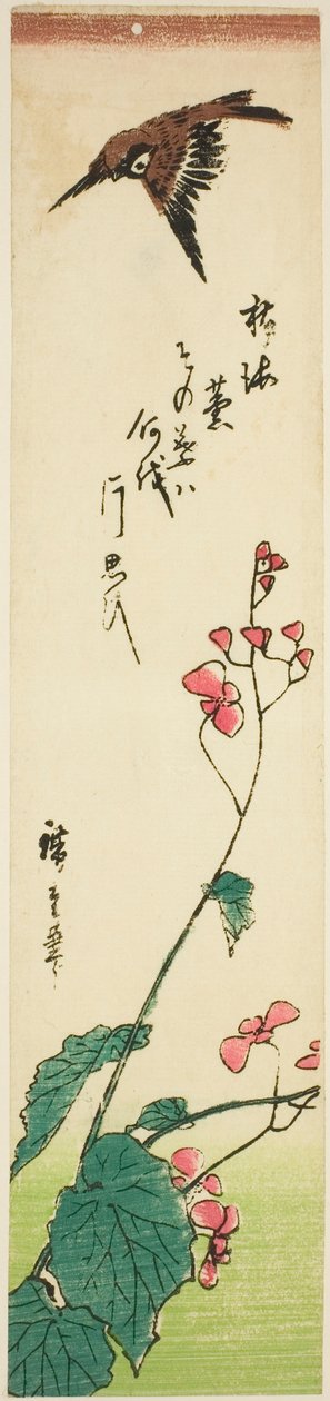 麻雀飞过秋海棠 作者 歌川宏重