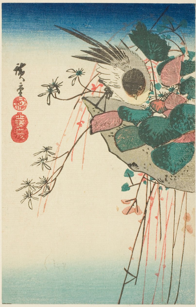 悬挂花盆上的麻雀 作者 歌川宏重