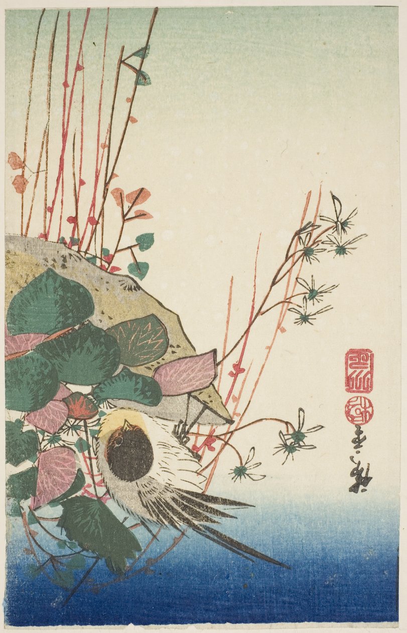 悬挂花盆上的麻雀 作者 歌川宏重