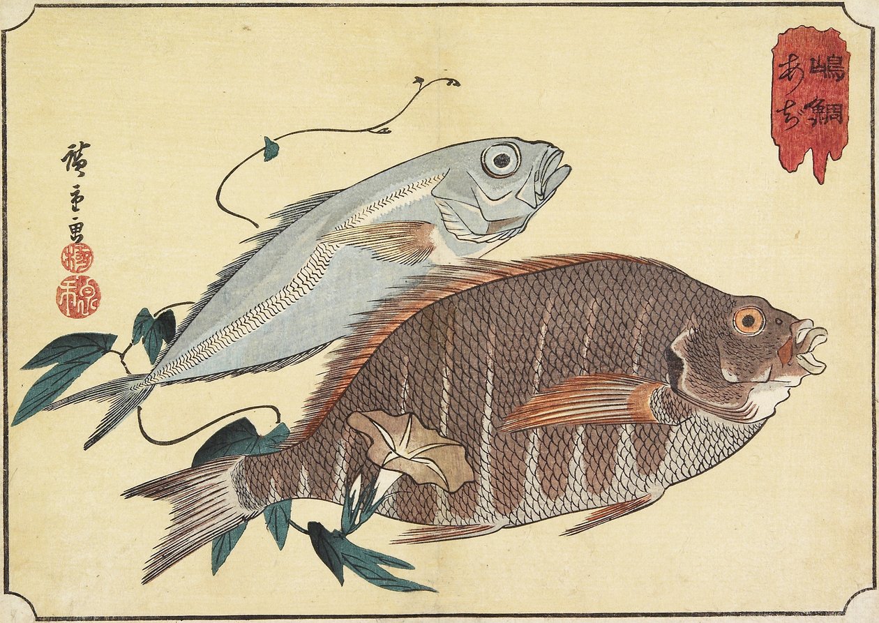 条纹鲷鱼和马鲭鱼，19世纪初 作者 歌川宏重