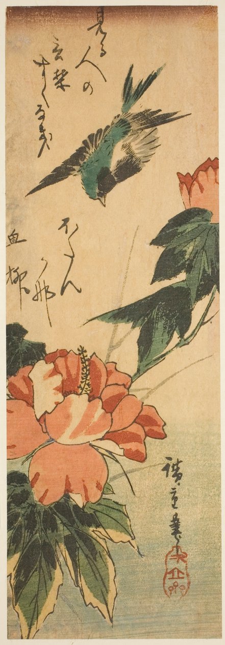 燕子和芙蓉 作者 歌川宏重