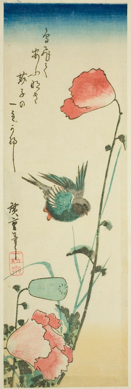 燕子和罂粟花 作者 歌川宏重