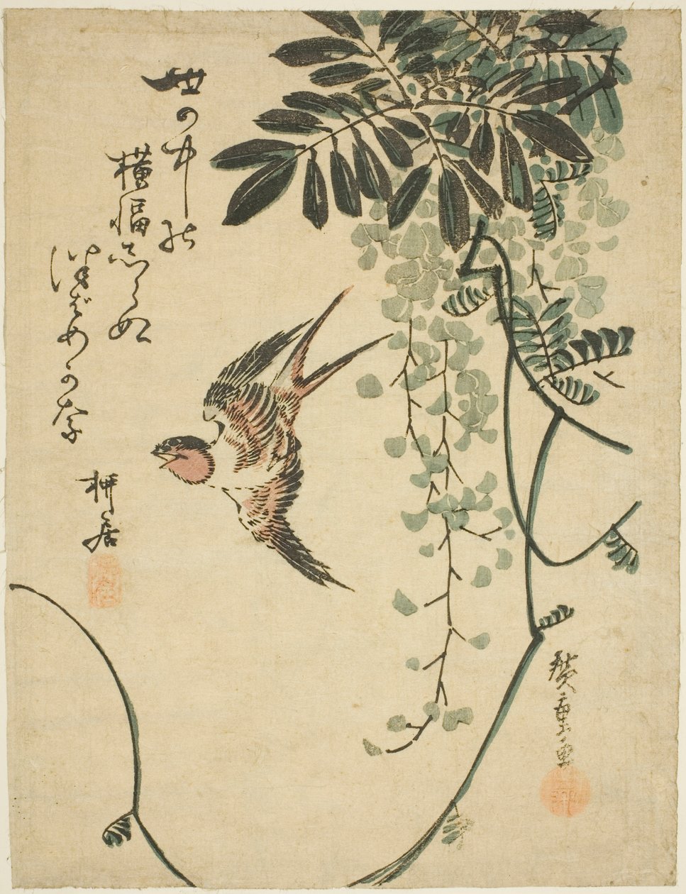 燕子和紫藤 作者 歌川宏重
