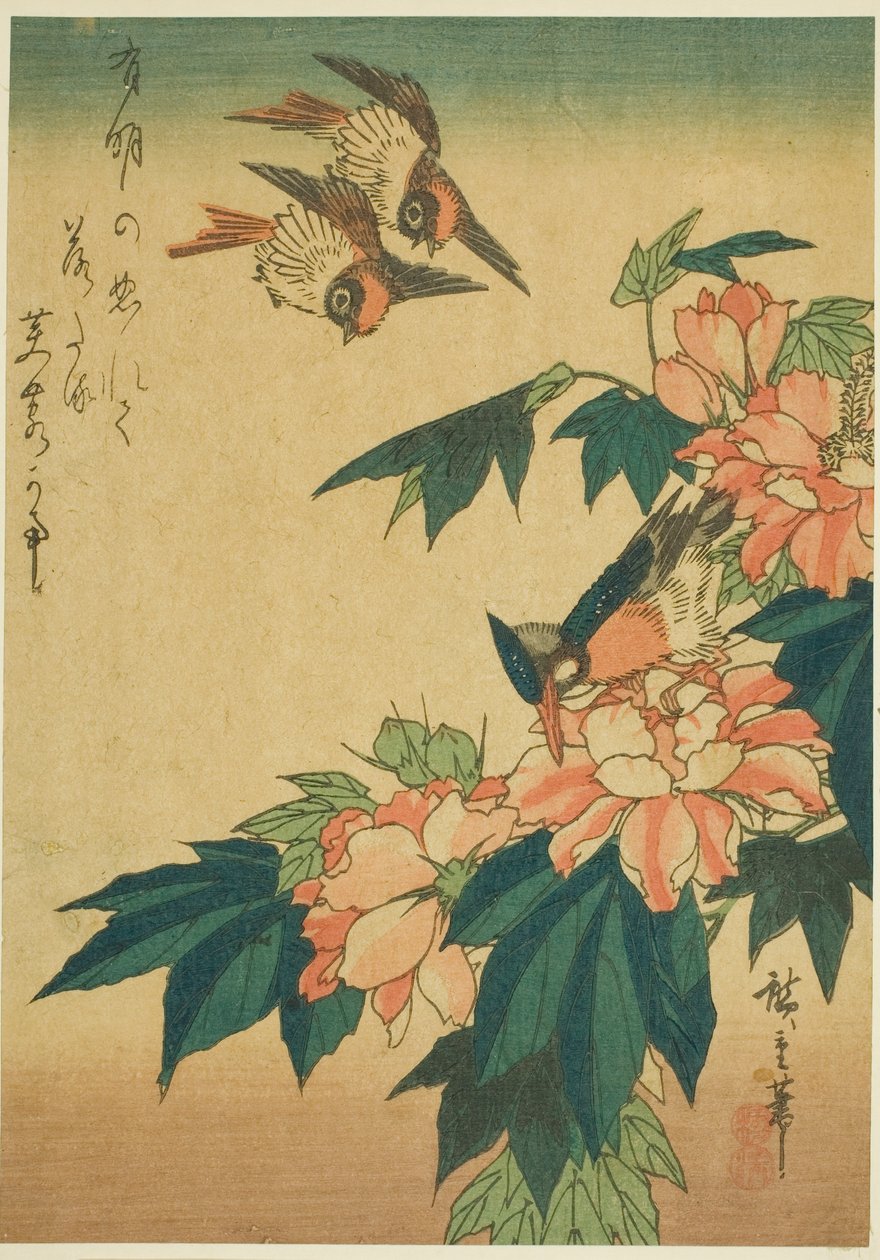 燕子、翠鸟和芙蓉花 作者 歌川宏重