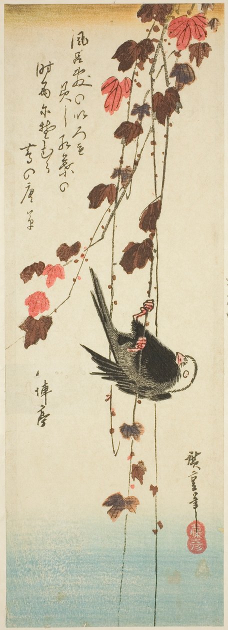 白头翁和常春藤 作者 歌川宏重