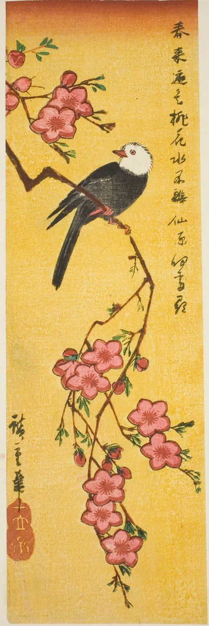 桃枝上的白头翁 作者 歌川宏重