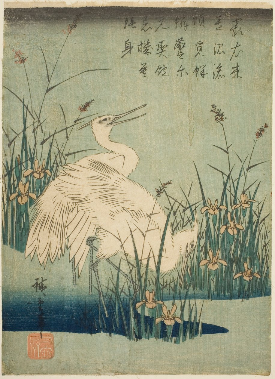 白鹭和鸢尾花 作者 歌川宏重