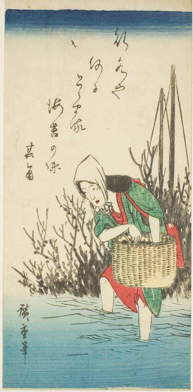 采集海藻的妇女 作者 歌川宏重