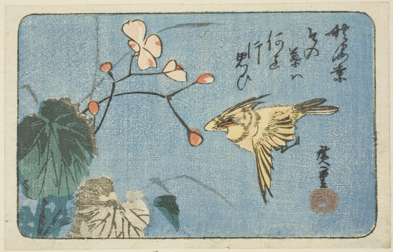 黄鸟与海棠 作者 歌川宏重