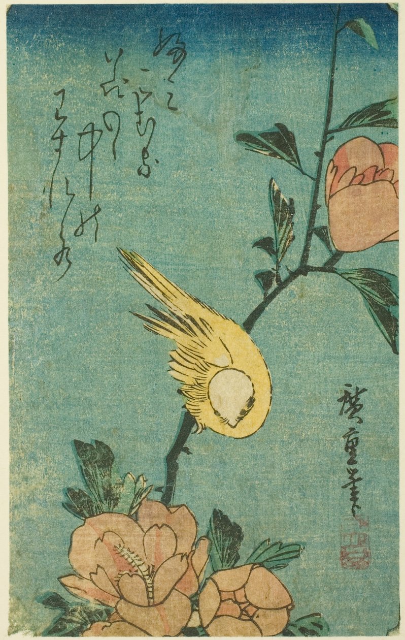 黄鸟与芙蓉 作者 歌川宏重