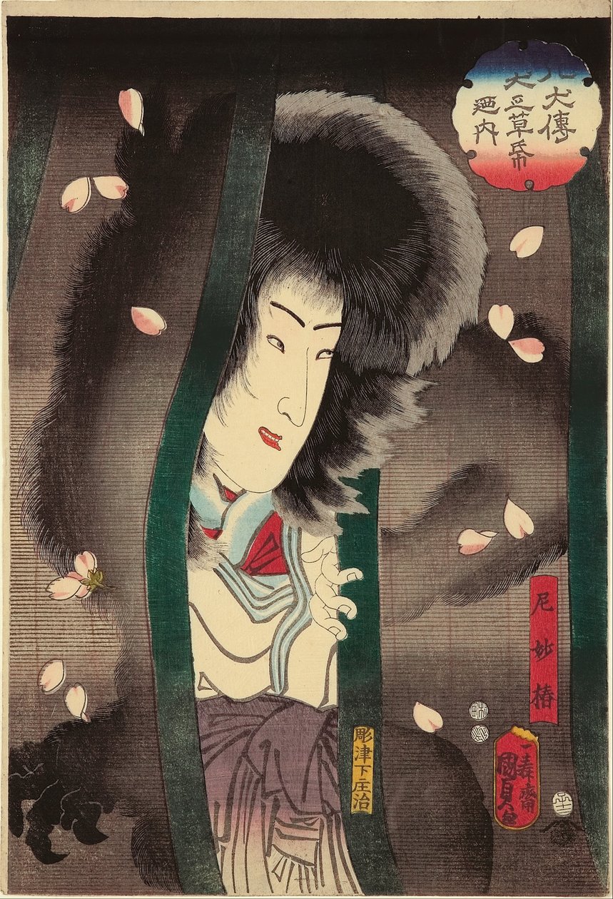 “从狗的故事书中，八个狗英雄的故事”的修女猫（Ama Myochin）（演员Segawa Kikunojo V），XII - 1852 作者 歌川国贞II