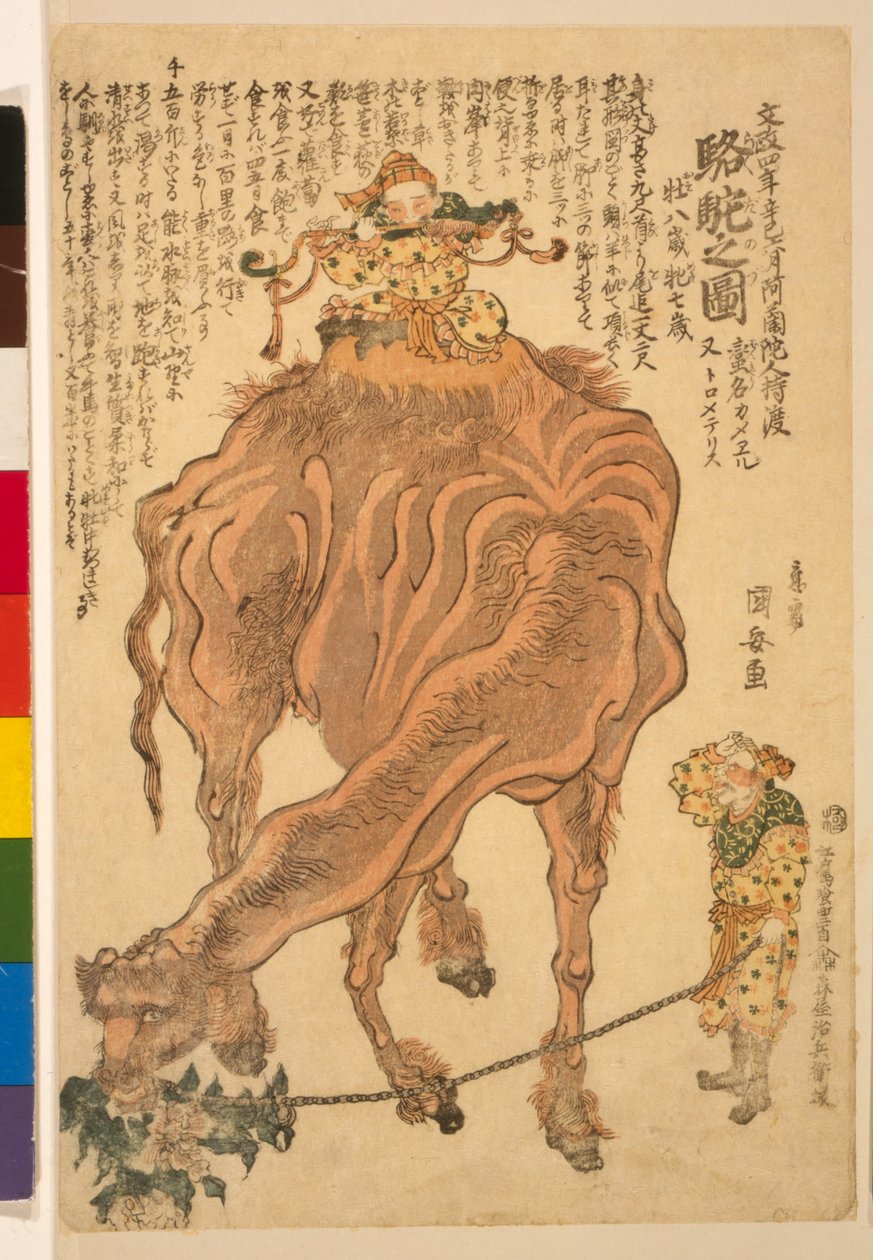 骆驼，酒吧。 1824年（手工彩色木刻） 作者 歌川国安